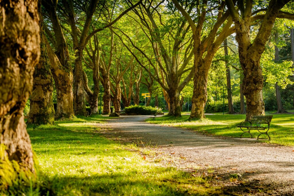 Grüner Park 